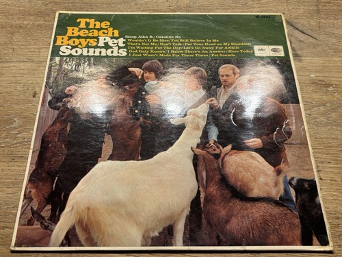 Beach boys pet - beach, sounds